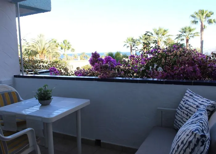 Bougainvillea Bamira *